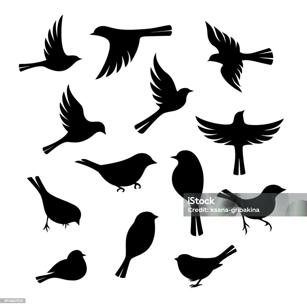 Birds silhouette collection. Birds silhouette collection. Vector design elements Bird stock vector