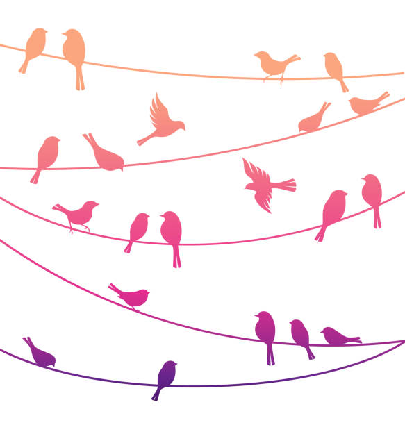 Birds on the lines. Vector decorative silhouettes Birds on the lines. Vector decorative silhouettes telephone line art stock illustrations