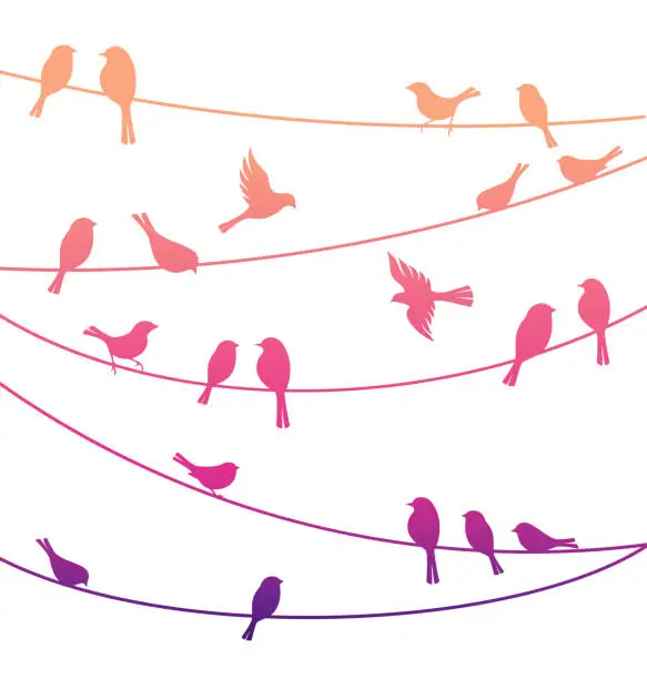 Vector illustration of Birds on the lines. Vector decorative silhouettes
