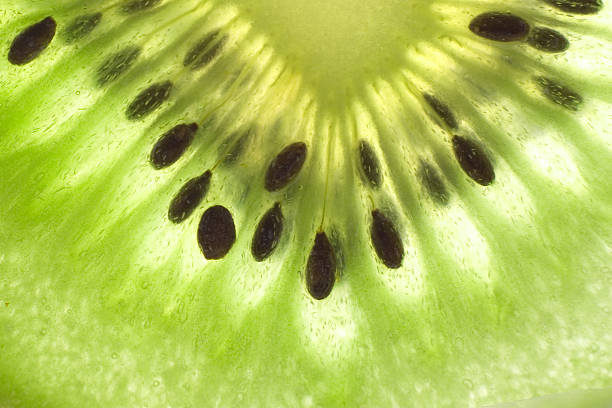 macro de kiwi fruits-rétroéclairé - textured nobody close up seed photos et images de collection