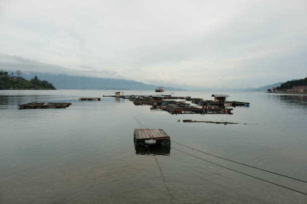 Panorama view at Toba Lake