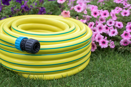 New garden hose pipe on a grass