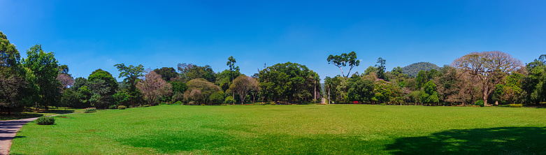 Kandy, Sri Lanka - 5 February 2017: Panoramic view of Royal Botanical King Gardens, Peradeniya, Sri Lanka, locates near Kandy