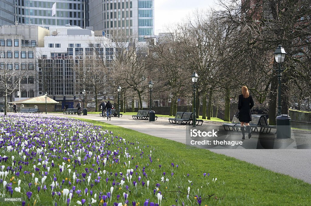 Urban primavera na hora do almoço - Foto de stock de Haia - Sul da Holanda royalty-free