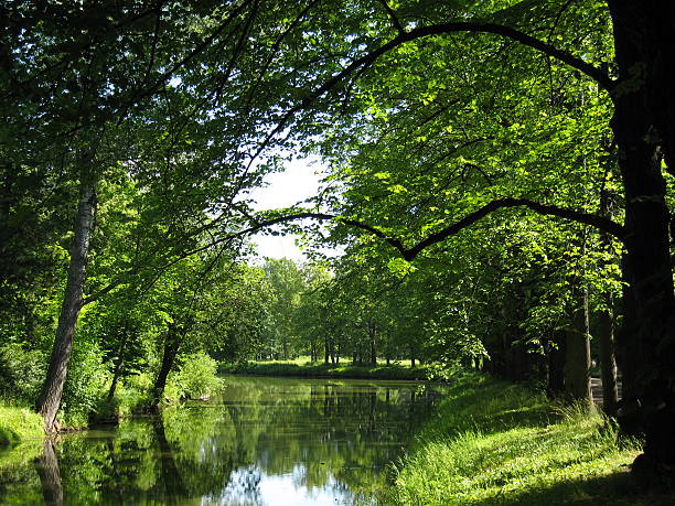 istock Park in Pavlovsk Russia 89488126