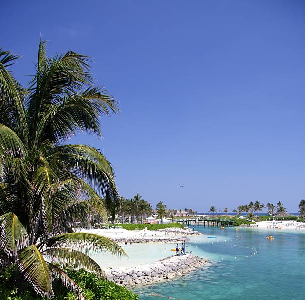 Laguna tropicale - foto stock