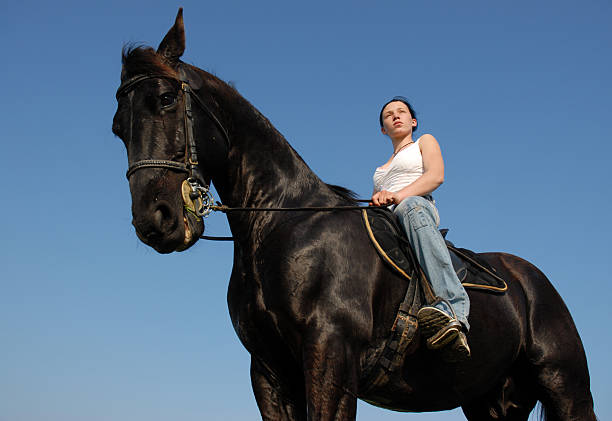 istock teen and stallion 89490341