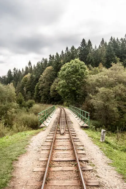 Bieszczadzka Kolejka Lesna - narrow-gauge railway with bridge and forest on the background near Cisna village in Biesczady mountains in southeastern part of Poland near borders with Slovakia