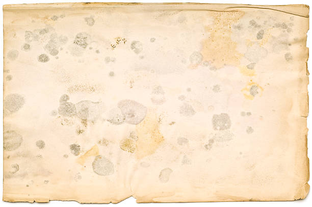 istock Worn, Torn and Stained Sheet of Paper 89491115