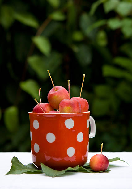 Manzanas rojas pequeñas - foto de stock