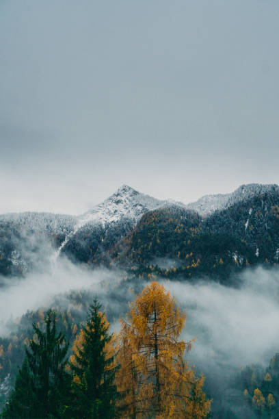 istock Dolomites mountains covered with fog 894919422