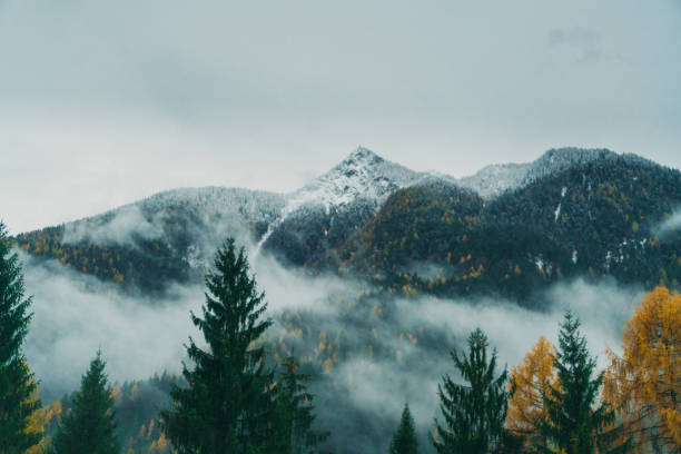 istock Dolomites mountains covered with fog 894919426