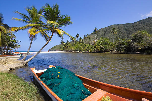istock TROPICAL PALM TREES WITH BOAT 89492103