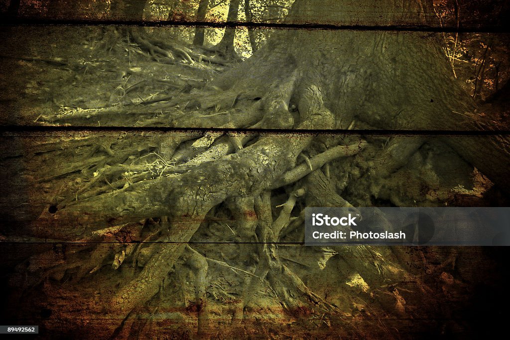 Seltsame Holz - Lizenzfrei Abstrakt Stock-Foto