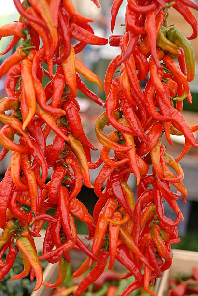 istock Hanging Peppers at a Farmer's Market 89493915