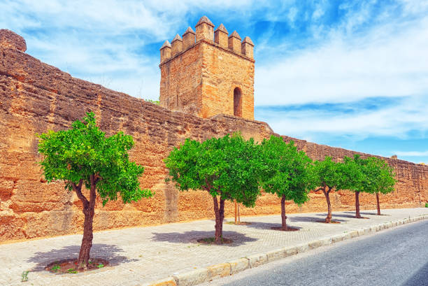 parede de sevilha (almohade muralla de sevilla) são uma série de muralhas defensivas em redor da antiga cidade de sevilha. - spain tower town square andalusia - fotografias e filmes do acervo