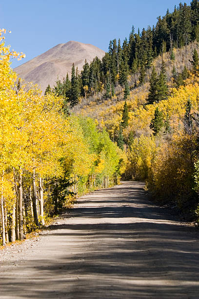istock Autum Color on Boreas Pass Colorado 89494131