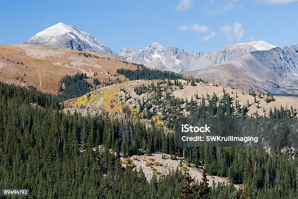 Autum Kolor Na Boreasz Pass Kolorado - zdjęcia stockowe i więcej obrazów Bez ludzi - Bez ludzi, Drzewo liściaste, Fotografika