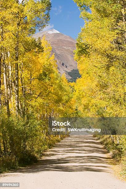 Autum Цвет На Борей Проходят Колорадо — стоковые фотографии и другие картинки Гора - Гора, Колорадо, Без людей