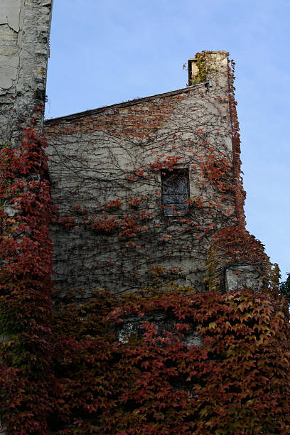 istock Autumn house in france 89494370