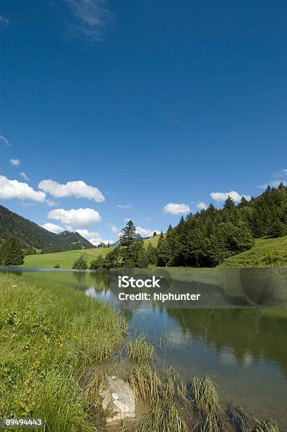 Leckner Loch - Fotografie stock e altre immagini di Acqua - Acqua, Albero, Ambientazione esterna