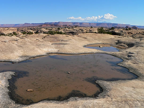 istock waterholes on plateau with blue sky and clouds 89494500