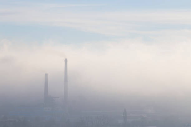 photo is taken outdoors in autumn morning