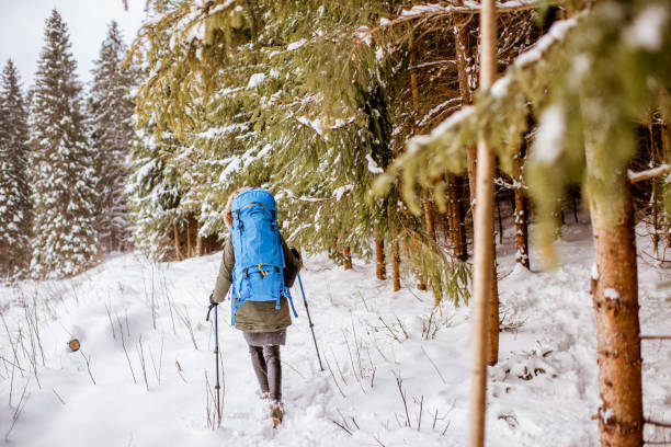 istock Winter hiking in the forest 894951876