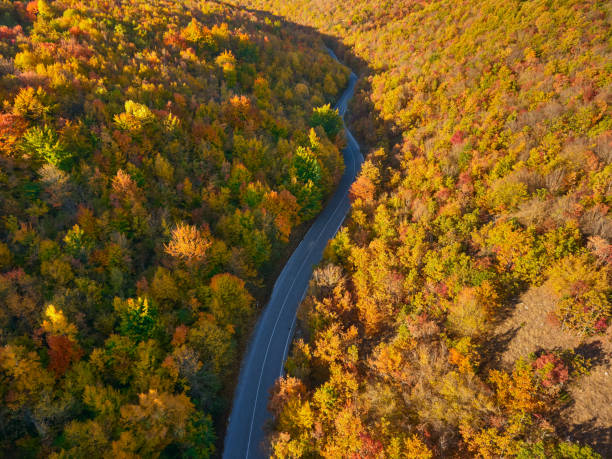 istock Beautiful autumn carpet over the mountain. 894952474