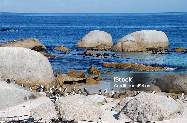 Foto de Rocks O Mar E Os Pinguins e mais fotos de stock de Abundância - Abundância, Andar, Animal