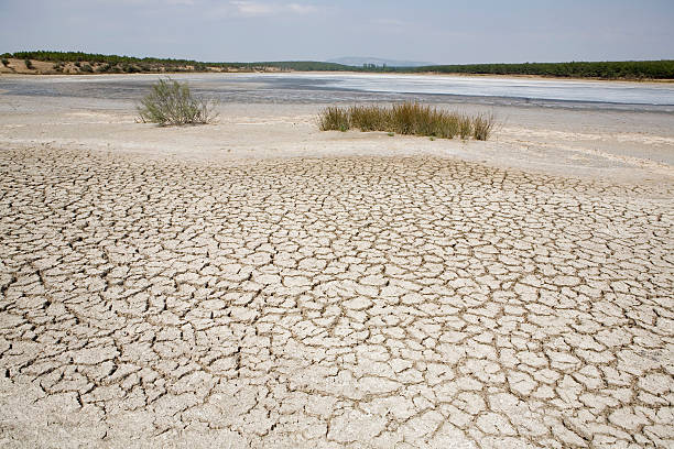 Global warming Lake bed drying up due to drought. Global warming dry riverbed stock pictures, royalty-free photos & images