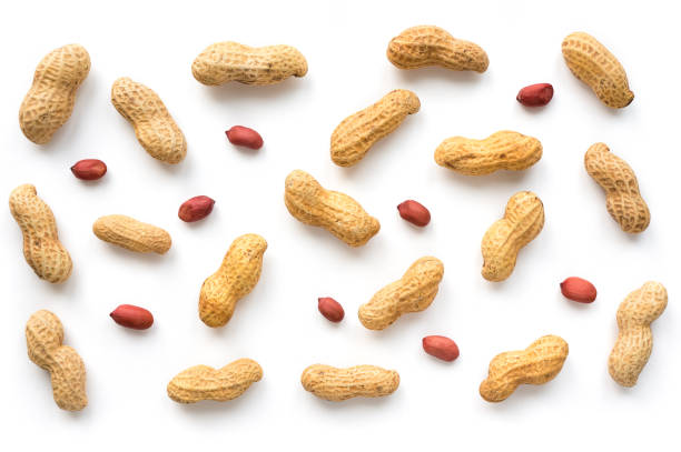 Creative peanut pattern. stock photo
