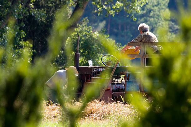 At work in the country 1 stock photo