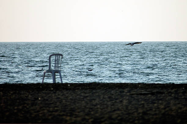Sea Gull and Chair stock photo