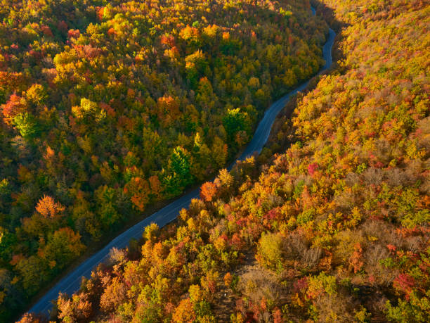 istock The road through amazing God's  land. 894962180