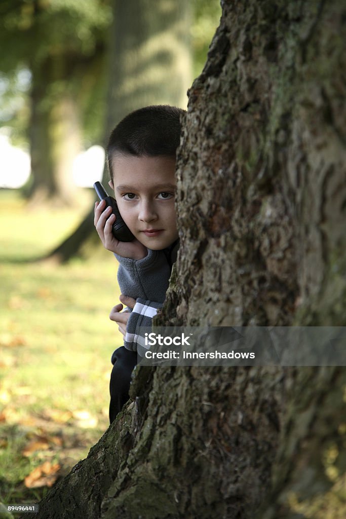 Cache-cache - Photo de Arbre libre de droits