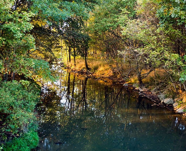 istock Early Morning Scene at Lick Creek 89496750