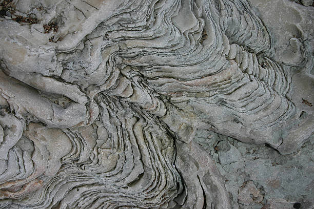 Gotland eroded limestone pattern stock photo