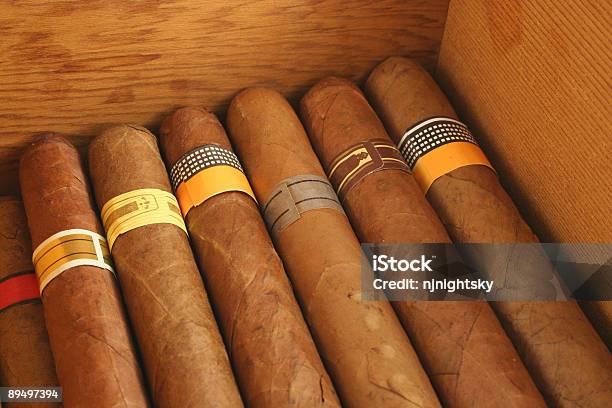 Cigars In A Humidor Stock Photo - Download Image Now - Addiction, Brown, Capital Cities