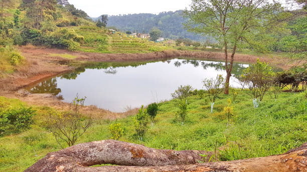 istock Reservoir to store water 894974764
