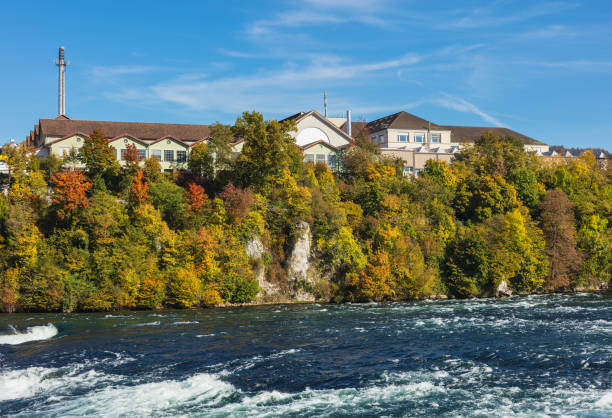 istock The Rhine river just above the Rhine Falls 894974846