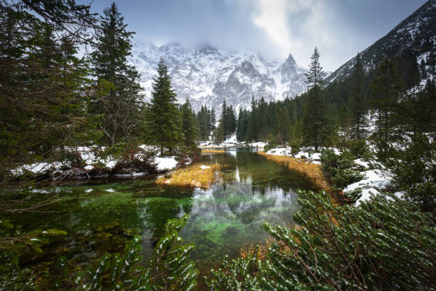 istock Beautiful Tatra mountains view at Fish Creek 894980594