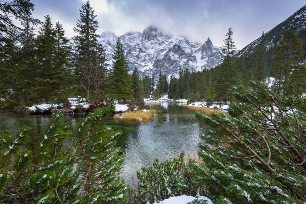 istock Beautiful Tatra mountains view at Fish Creek 894980610