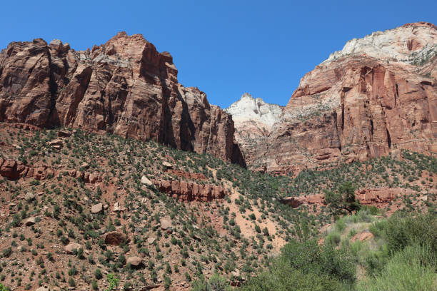 istock Red Canyon in Dixie National Forest. Utah. USA 894983796