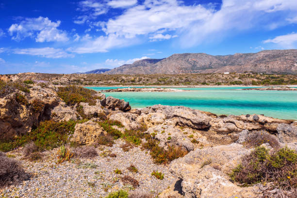 istock Elafonissi beach with pink sand on Crete 894986724