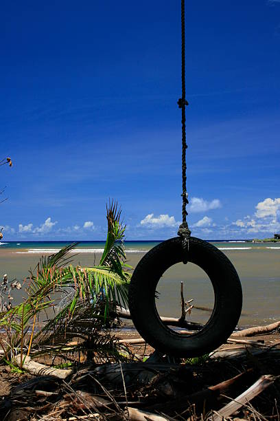 istock Island tire swing II 89499431