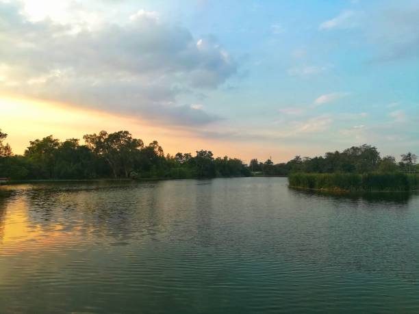 istock lake and forest in sunset time. 894994818