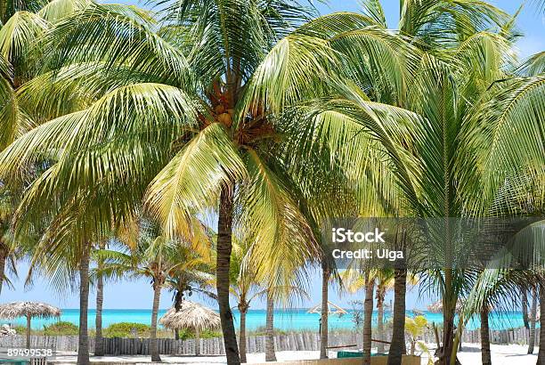 Tropical Landscape Stock Photo - Download Image Now - Backgrounds, Beach, Blue