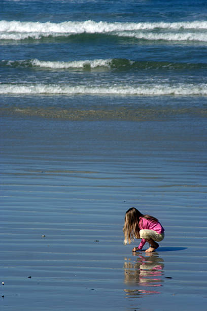 istock Little Girl Picking up Sea Shells 89499783