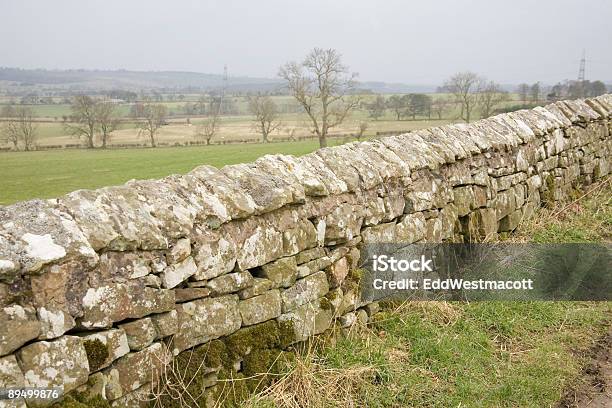 Tradicional Parede De Pedra De Northumberland - Fotografias de stock e mais imagens de Agricultura - Agricultura, Aldeia, Alnwick